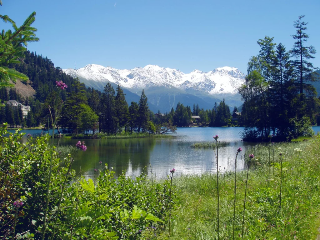 Lac de Champex en été avec les sommets enneigés
